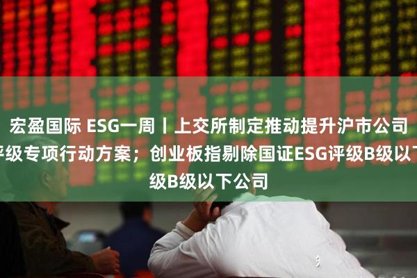 宏盈国际 ESG一周丨上交所制定推动提升沪市公司ESG评级专项行动方案；创业板指剔除国证ESG评级B级以下公司