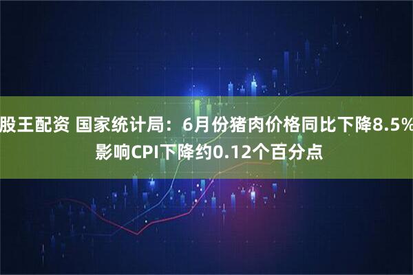 股王配资 国家统计局：6月份猪肉价格同比下降8.5% 影响CPI下降约0.12个百分点