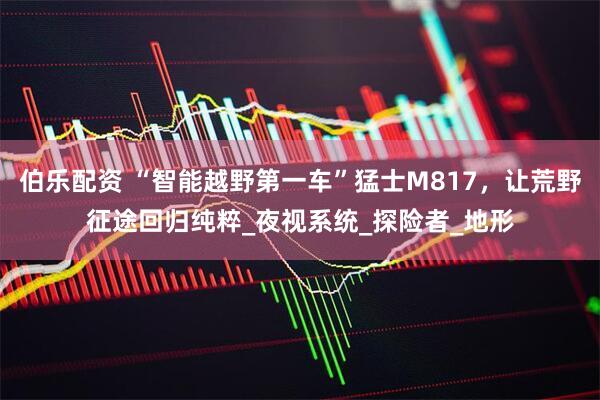 伯乐配资 “智能越野第一车”猛士M817，让荒野征途回归纯粹_夜视系统_探险者_地形