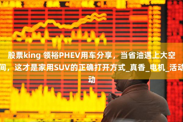 股票king 领裕PHEV用车分享，当省油遇上大空间，这才是家用SUV的正确打开方式_真香_电机_活动