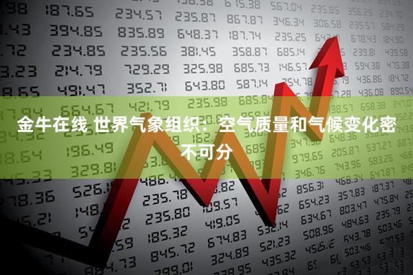 金牛在线 世界气象组织：空气质量和气候变化密不可分