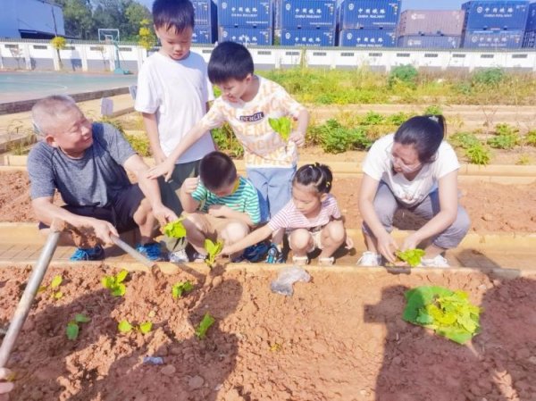 贵海国际 资兴市四完小特色课程：一年级萌娃劳动课初体验